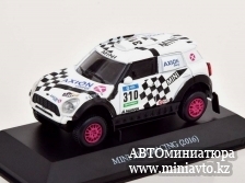 Автоминиатюра модели - Mini All 4 Racing, №310, Rally Dakar, Terranova-Graue, 2016 Luppa (Аргентина)