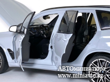 Автоминиатюра модели - BMW X5 M Grey 1:18 CPM junior series